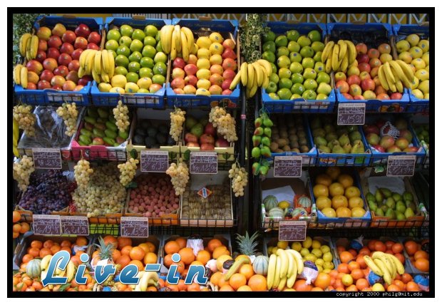 ÎœÎ±Î½Î¬Î²Î·Ï‚ Î® Î¼Î±Î½Î¬Î²ÎµÎ¹Ï‚?live-in | Η Έξυπνη, Αντικειμενική και Εναλλακτική Ενημέρωση!