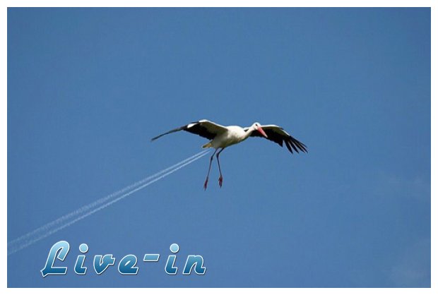 Î§Ï‰ÏÎ¯Ï‚ Photoshop (Î¼Î­ÏÎ¿Ï‚ 2Î¿)live-in | Η Έξυπνη, Αντικειμενική και Εναλλακτική Ενημέρωση!