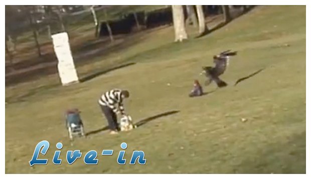Î‘ÎµÏ„ÏŒÏ‚ Ï€ÏÎ¿ÏƒÏ€Î¬Î¸Î·ÏƒÎµ Î½Î± Î±ÏÏ€Î¬Î¾ÎµÎ¹ Î¼Î¹ÎºÏÏŒ Ï€Î±Î¹Î´Î¯!live-in | Η Έξυπνη, Αντικειμενική και Εναλλακτική Ενημέρωση!