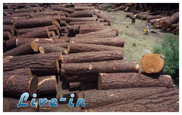 ÎšÎ±Î½ÏŒÎ½ÎµÏ‚ ÏƒÏ„Î·Î½ ÎºÎ¿Ï€Î® ÎºÎ±Ï…ÏƒÏŒÎ¾Ï…Î»Ï‰Î½ ÎµÏ€Î¹Ï‡ÎµÎ¹ÏÎµÎ¯ Î½Î± Î²Î¬Î»ÎµÎ¹ Ï„Î¿ Ï…Ï€Î¿Ï…ÏÎ³ÎµÎ¯Î¿ Î ÎµÏÎ¹Î²Î¬Î»Î»Î¿Î½Ï„Î¿Ï‚!live-in | Η Έξυπνη, Αντικειμενική και Εναλλακτική Ενημέρωση!