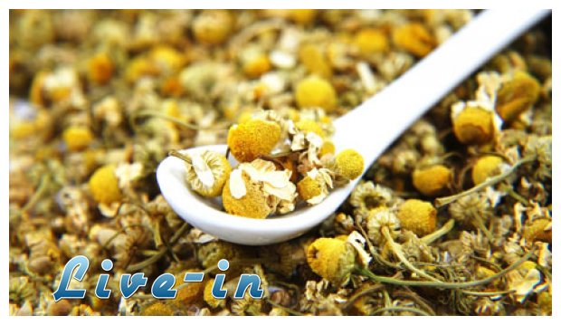 Î’ÏŒÏ„Î±Î½Î± Î³Î¹Î± Î±Î´Ï…Î½Î¬Ï„Î¹ÏƒÎ¼Î±!live-in | Η Έξυπνη, Αντικειμενική και Εναλλακτική Ενημέρωση!