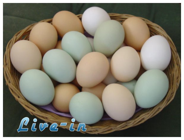 Î Ï‰Ï‚ Î¸Î± ÎºÎ±Ï„Î±Î»Î¬Î²ÎµÏ„Îµ Î±Î½ Ï„Î± Î±Ï…Î³Î¬ ÏƒÎ±Ï‚ ÎµÎ¯Î½Î±Î¹ Ï†ÏÎ­ÏƒÎºÎ±;live-in | Η Έξυπνη, Αντικειμενική και Εναλλακτική Ενημέρωση!