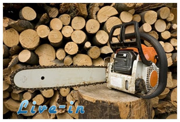 Î¤Î± ÎºÎ±Î»ÏÏ„ÎµÏÎ± Î¾ÏÎ»Î± Î³Î¹Î± Ï„Î¿ Ï„Î¶Î¬ÎºÎ¹ Î® Ï„Î·Î½ ÏƒÏŒÎ¼Ï€Î± ÏƒÎ±Ï‚live-in | Η Έξυπνη, Αντικειμενική και Εναλλακτική Ενημέρωση!