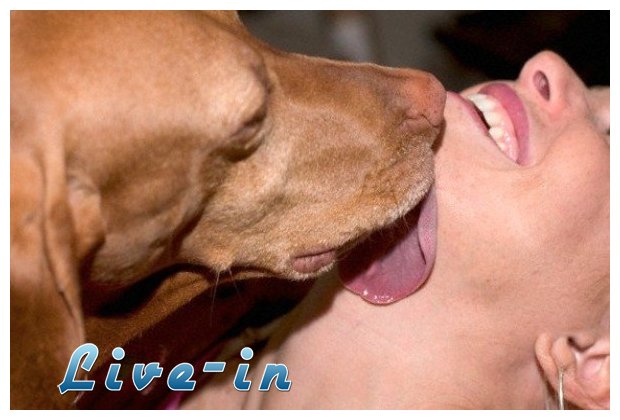 Î“Ï…Î½Î±Î¯ÎºÎ± ÏƒÏ„Î· ÎÎ¬Î¾Î¿ Ï„Î¿ Î­ÎºÎ±Î½Îµ Î¼Îµ... ÏƒÎºÏÎ»Î¿!live-in | Η Έξυπνη, Αντικειμενική και Εναλλακτική Ενημέρωση!