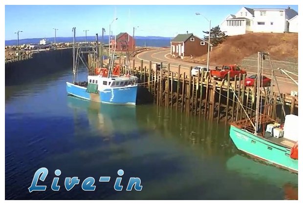 Î¤Î¿ Ï†Î±Î¹Î½ÏŒÎ¼ÎµÎ½Î¿ Ï„Î·Ï‚ Ï€Î±Î»Î¯ÏÏÎ¿Î¹Î±Ï‚ ÏƒÎµ fast forwardlive-in | Η Έξυπνη, Αντικειμενική και Εναλλακτική Ενημέρωση!