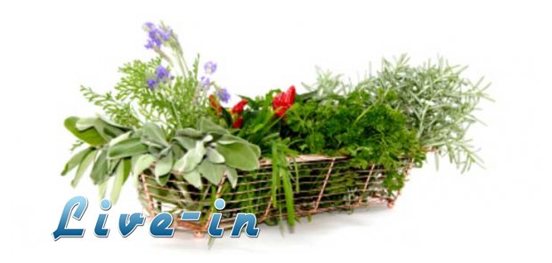 Î¤Î± Î²ÏŒÏ„Î±Î½Î± ÏƒÏ„Î± Î¿Ï€Î¿Î¯Î± "Ï…Ï€Î¿ÎºÎ»Î¯Î½Î¿Î½Ï„Î±Î¹" Î¿Î¹ ÎµÏ€Î¹ÏƒÏ„Î®Î¼Î¿Î½ÎµÏ‚!live-in | Η Έξυπνη, Αντικειμενική και Εναλλακτική Ενημέρωση!