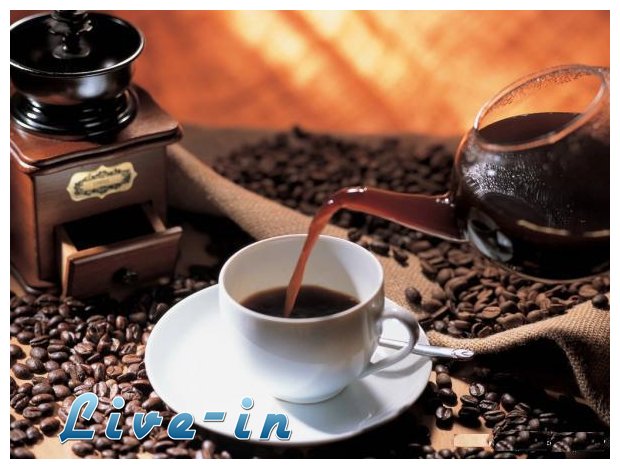 15 Ï€ÏÎ¬Î³Î¼Î±Ï„Î± Ï€Î¿Ï… Î´ÎµÎ½ Î¾Î­ÏÎµÏ„Îµ Î³Î¹Î± Ï„Î¿Î½ ÎºÎ±Ï†Î­!live-in | Η Έξυπνη, Αντικειμενική και Εναλλακτική Ενημέρωση!