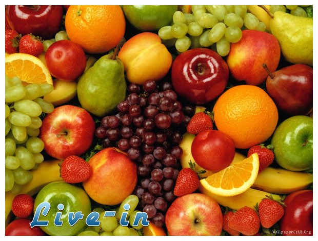 Î‘Î½Ï„Î¹Î¿Î¾ÎµÎ¹Î´Ï‰Ï„Î¹ÎºÎ¬: Î±Ï€Î±ÏÎ±Î¯Ï„Î·Ï„ÎµÏ‚ Î³Î½ÏŽÏƒÎµÎ¹Ï‚live-in | Η Έξυπνη, Αντικειμενική και Εναλλακτική Ενημέρωση!