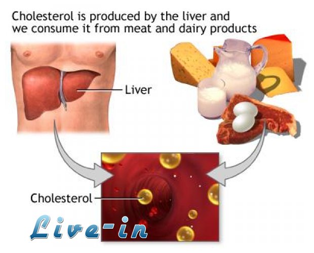 Î¤Î± 10 ÏƒÏ…Î½Î·Î¸Î­ÏƒÏ„ÎµÏÎ± Î»Î¬Î¸Î· Ï€Î¿Ï… ÎºÎ¬Î½Î¿Ï…Î½ ÏŒÏƒÎ¿Î¹ Î­Ï‡Î¿Ï…Î½ Ï‡Î¿Î»Î·ÏƒÏ„ÎµÏÎ¯Î½Î·!live-in | Η Έξυπνη, Αντικειμενική και Εναλλακτική Ενημέρωση!
