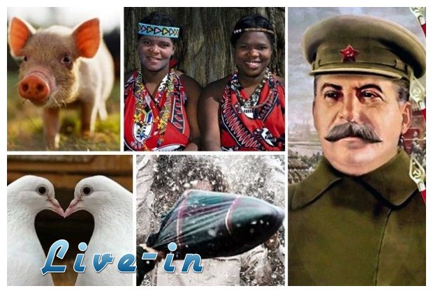 Î Î±ÏÎ¬Î»Î¿Î³Î¿Î¹ Î½ÏŒÎ¼Î¿Î¹ Î±Ï€ÏŒ ÏŒÎ»Î¿Î½ Ï„Î¿Î½ ÎºÏŒÏƒÎ¼Î¿live-in | Η Έξυπνη, Αντικειμενική και Εναλλακτική Ενημέρωση!