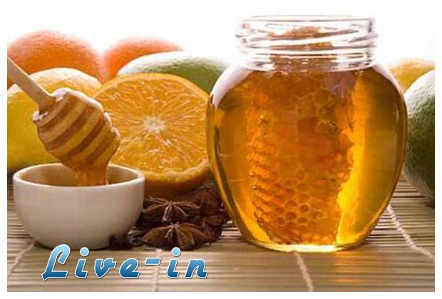 ÎŸÎ¹ Ï†Î±ÏÎ¼Î±ÎºÎµÏ…Ï„Î¹ÎºÎ­Ï‚ Î¹Î´Î¹ÏŒÏ„Î·Ï„ÎµÏ‚ Ï„Î¿Ï… Î¼ÎµÎ»Î¹Î¿Ï ÎºÎ±Î¹ Ï„Î·Ï‚ ÎºÎ±Î½Î­Î»Î±Ï‚live-in | Η Έξυπνη, Αντικειμενική και Εναλλακτική Ενημέρωση!