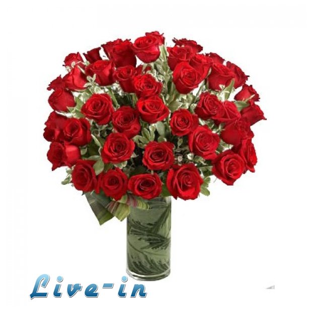 Î ÏÎ¿ÏƒÎ¿Ï‡Î® Ï€Î¿Ï… "ÏƒÏ„Î­Î»Î½ÎµÏ„Îµ" Î»Î¿Ï…Î»Î¿ÏÎ´Î¹Î±...Epic Fail Î‘Ï€Î¹ÏƒÏ„Î¯Î±Ï‚!live-in | Η Έξυπνη, Αντικειμενική και Εναλλακτική Ενημέρωση!