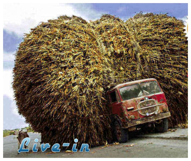 Î•ÎšÎ¤Î•Î›ÎŸÎ¥ÎÎ¤Î‘Î™ ÎœÎ•Î¤Î‘Î¦ÎŸÎ¡Î•Î£live-in | Η Έξυπνη, Αντικειμενική και Εναλλακτική Ενημέρωση!