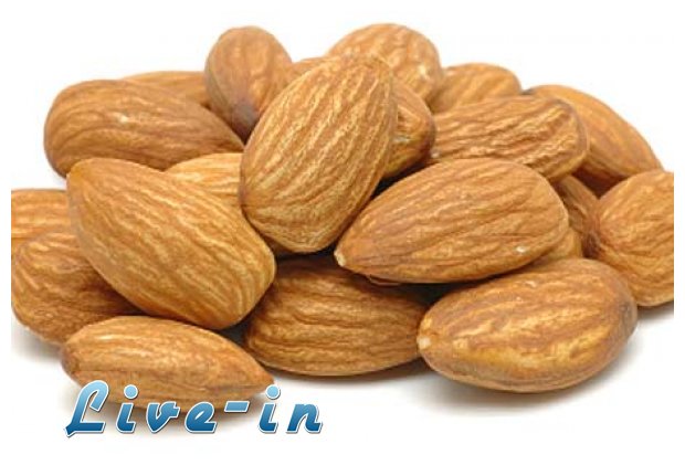 ÎŸÎ¹ Ï„ÏÎ¿Ï†Î­Ï‚ Ï€Î¿Ï… Î²Î¬Î¶Î¿Ï…Î½ Ï†Ï‰Ï„Î¹Î¬ ÏƒÏ„Î¿ ÎºÏÎµÎ²Î²Î¬Ï„Î¹ ÏƒÎ±Ï‚...live-in | Η Έξυπνη, Αντικειμενική και Εναλλακτική Ενημέρωση!