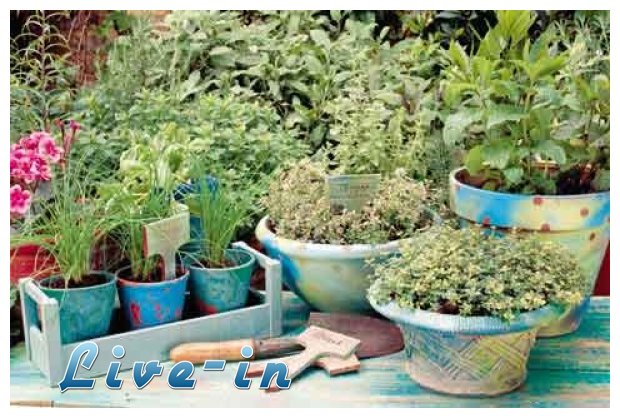 Î¤Î± Î´ÏŽÎ´ÎµÎºÎ± Î²ÏŒÏ„Î±Î½Î± Ï€Î¿Ï… ÏÎ¯Ï‡Î½Î¿Ï…Î½ Ï„Î¿Î½ Ï€Ï…ÏÎµÏ„ÏŒlive-in | Η Έξυπνη, Αντικειμενική και Εναλλακτική Ενημέρωση!