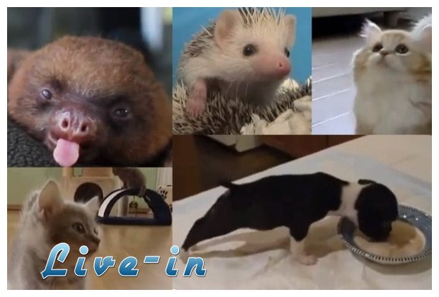 Make my day (video)live-in | Η Έξυπνη, Αντικειμενική και Εναλλακτική Ενημέρωση!