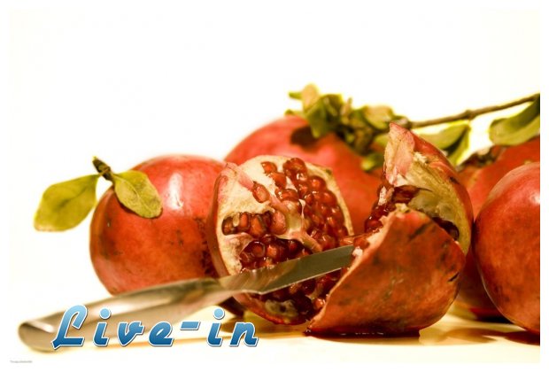 Î£ÎŸÎ¥Î Î•Î¡ Î¤Î¡ÎŸÎ¦Î•Î£: Î¤Î‘ Î¡ÎŸÎ”Î™Î‘live-in | Η Έξυπνη, Αντικειμενική και Εναλλακτική Ενημέρωση!