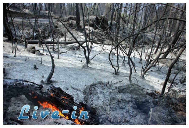 ÎžÎµÎºÎ»ÎµÎ¹Î´ÏŽÎ½Î¿Ï…Î½ 24,7 ÎµÎºÎ±Ï„Î¿Î¼Î¼ÏÏÎ¹Î± ÎµÏ…ÏÏŽ Î³Î¹Î± Ï„Î¿Ï…Ï‚ Ï€Ï…ÏÏŒÏ€Î»Î·ÎºÏ„Î¿Ï…Ï‚live-in | Η Έξυπνη, Αντικειμενική και Εναλλακτική Ενημέρωση!
