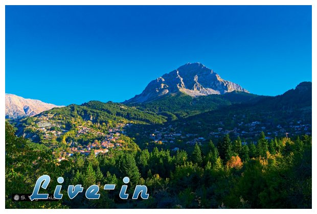 "Î‘Î½Î¬Î²Î±ÏƒÎ·" ÏƒÏ„Î± Î¤Î¶Î¿Ï…Î¼Î­ÏÎºÎ±!live-in | Η Έξυπνη, Αντικειμενική και Εναλλακτική Ενημέρωση!