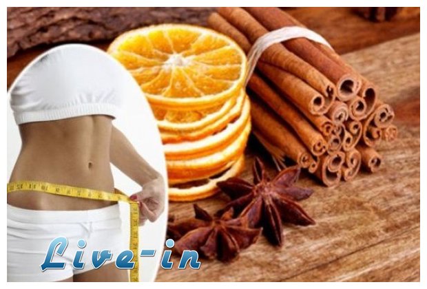 Î”Î™Î‘Î™Î¤Î‘: ÎŸÎ¹ Ï„ÏÎ¿Ï†Î­Ï‚ Ï€Î¿Ï… ÎºÎ±Ï„Î±Ï„ÏÎ¿Ï€ÏŽÎ½Î¿Ï…Î½ Ï„Î¿ Î»Î¯Ï€Î¿Ï‚live-in | Η Έξυπνη, Αντικειμενική και Εναλλακτική Ενημέρωση!