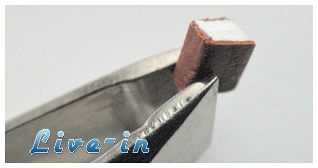 Î™Î±Ï€Ï‰Î½Î¯Î±: Î¤Î¿ Î¼Î¹ÎºÏÏŒÏ„ÎµÏÎ¿ Î²Î¹Î²Î»Î¯Î¿ Ï„Î¿Ï… ÎºÏŒÏƒÎ¼Î¿Ï…live-in | Η Έξυπνη, Αντικειμενική και Εναλλακτική Ενημέρωση!