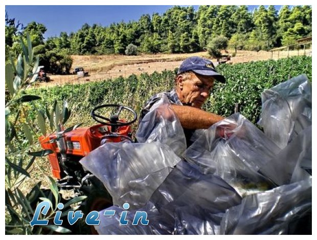 ÎœÎ±ÏŠÎ¼Î¿Ï   Î±Î³ÏÏŒÏ„Î·Ï‚ ÎµÎ¹ÏƒÎ­Ï€ÏÎ±Î¾Îµ Î¼Îµ ÎºÏŒÎ»Ï€Î¿ 184 ÎµÎº. ÎµÏ…ÏÏŽlive-in | Η Έξυπνη, Αντικειμενική και Εναλλακτική Ενημέρωση!