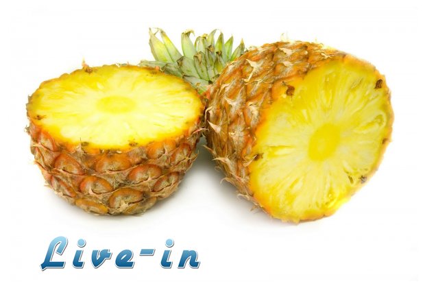 Î‘Î½Î±Î½Î¬Ï‚: Î–Î¿Ï…Î¼ÎµÏÏŒÏ‚ ÎºÎ±Î¹ Ï‰Ï†Î­Î»Î¹Î¼Î¿Ï‚live-in | Η Έξυπνη, Αντικειμενική και Εναλλακτική Ενημέρωση!