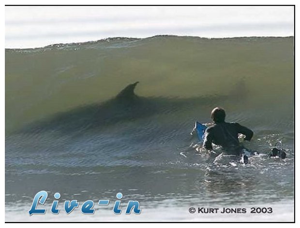 Î‘Î½ Î­Ï‡ÎµÎ¹Ï‚ Ï„ÏÏ‡Î· Î´Î¹Î¬Î²Î±Î¹Î½Îµ!live-in | Η Έξυπνη, Αντικειμενική και Εναλλακτική Ενημέρωση!