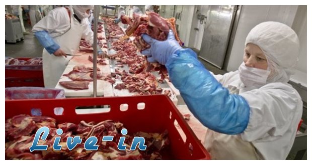 Î•Î¦Î•Î¤: Î“Î½ÏŽÏÎ¹Î¶Î±Î½ ÏŒÏ„Î¹ Ï‡ÏÎ·ÏƒÎ¹Î¼Î¿Ï€Î¿Î¹Î¿ÏÏƒÎ±Î½ ÎºÏÎ­Î±Ï‚ Î±Î»ÏŒÎ³Î¿Ï… Î¿Î¹ ÎµÏ„Î±Î¹ÏÎµÎ¯ÎµÏ‚!live-in | Η Έξυπνη, Αντικειμενική και Εναλλακτική Ενημέρωση!