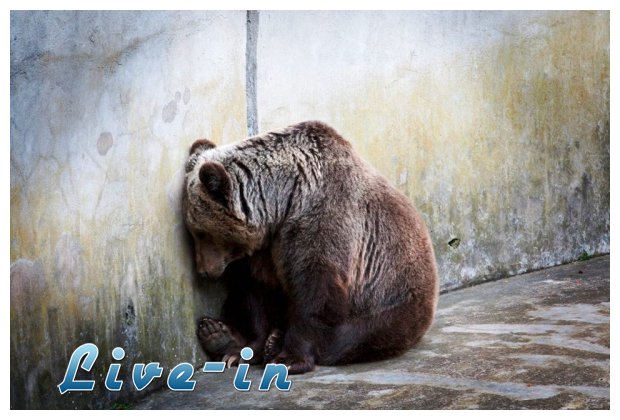 Î¤Î¿ Î±Î¯Ï„Î·Î¼Î± Ï„Î¿Ï… Î‘Î¡ÎšÎ¤ÎŸÎ¥Î¡ÎŸÎ¥ Î±Ï€ÏŒ Ï„Î¿ 1995!live-in | Η Έξυπνη, Αντικειμενική και Εναλλακτική Ενημέρωση!
