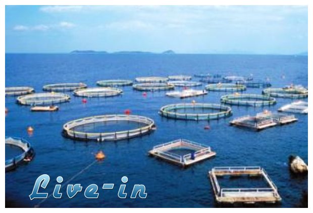 Î£Ï„Î·Î½ Î Î¹ÎµÏÎ¯Î± Î¹Î´ÏÏÎµÏ„Î±Î¹ Î· Ï€ÏÏŽÏ„Î· Ï€ÎµÏÎ¹Î¿Ï‡Î® ÎŸÏÎ³Î±Î½Ï‰Î¼Î­Î½Î·Ï‚ Î‘Î½Î¬Ï€Ï„Ï…Î¾Î·Ï‚ Î¥Î´Î±Ï„Î¿ÎºÎ±Î»Î»Î¹ÎµÏÎ³ÎµÎ¹ÏŽÎ½live-in | Η Έξυπνη, Αντικειμενική και Εναλλακτική Ενημέρωση!