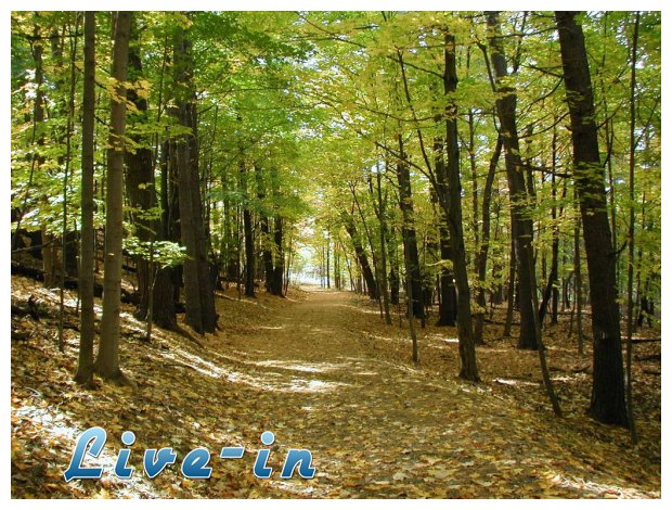 Î Î®ÏÎµ Ï„Î± Î²Î¿Ï…Î½Î¬, ÎºÏ…ÏÎ¹Î¿Î»ÎµÎºÏ„Î¹ÎºÎ¬ - Î–Î¿ÏÏƒÎµ Î¿Î»Î¿Î¼ÏŒÎ½Î±Ï‡Î¿Ï‚ ÏƒÏ„Î¿ Î´Î¬ÏƒÎ¿Ï‚ ÎµÏ€Î¹ 27 Ï‡ÏÏŒÎ½Î¹Î±!live-in | Η Έξυπνη, Αντικειμενική και Εναλλακτική Ενημέρωση!