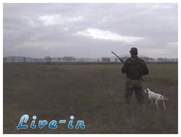 Î£Ï„Î· Î¼Î¬Ï‡Î· ÎºÎ±Ï„Î¬ Ï„Î·Ï‚ Î»Î±Î¸ÏÎ¿Î¸Î·ÏÎ¯Î±Ï‚ Î•Î»Î»Î¬Î´Î±, Î™Ï„Î±Î»Î¯Î± ÎºÎ±Î¹ Î™ÏƒÏ€Î±Î½Î¯Î±live-in | Η Έξυπνη, Αντικειμενική και Εναλλακτική Ενημέρωση!