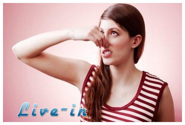 Î ÏŽÏ‚ Î¸Î± Î²Î³Î¬Î»ÎµÏ„Îµ Ï„Î· Î¼Ï…ÏÏ‰Î´Î¹Î¬ Ï„Î¿Ï… Ï„ÏƒÎ¹Î³Î¬ÏÎ¿Ï… Î±Ï€ÏŒ Ï„Î± ÏÎ¿ÏÏ‡Î± ÏƒÎ±Ï‚live-in | Η Έξυπνη, Αντικειμενική και Εναλλακτική Ενημέρωση!