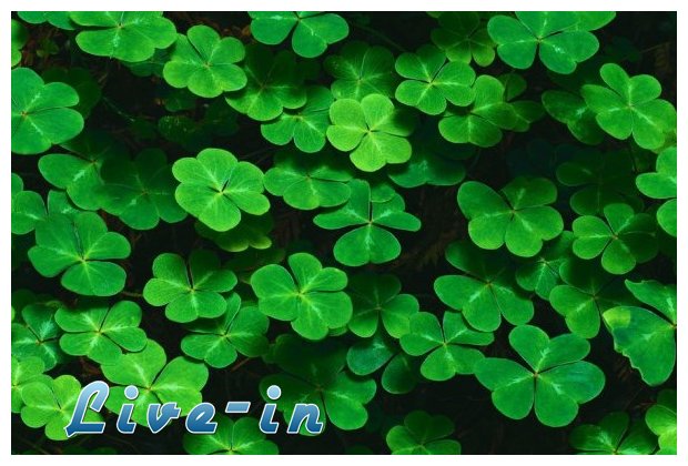 Î‘Ï€ÏŒ Ï€Î¿Ï Î²Î³Î®ÎºÎµ Î· Ï†ÏÎ¬ÏƒÎ· Â«Î–Î®ÏƒÎµ ÎœÎ¬Î· Î¼Î¿Ï… Î½Î± Ï†Î±Ï‚ Ï„ÏÎ¹Ï†ÏÎ»Î»Î¹Â»live-in | Η Έξυπνη, Αντικειμενική και Εναλλακτική Ενημέρωση!