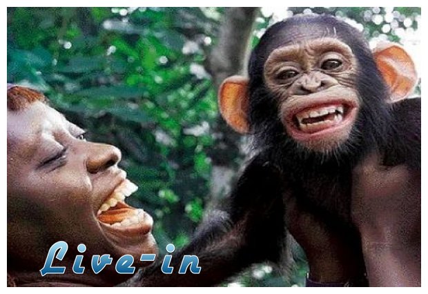 Î— Î±Ï€Î¯Î¸Î±Î½Î· Î¹ÏƒÏ„Î¿ÏÎ¯Î± Ï„Î·Ï‚ Î»Î­Î¾Î·Ï‚ "Î§Î¹Î¿ÏÎ¼Î¿Ï"live-in | Η Έξυπνη, Αντικειμενική και Εναλλακτική Ενημέρωση!