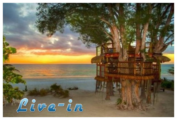 Î‘Ï…Î¸Î±Î¯ÏÎµÏ„Î¿ Î´ÎµÎ½Î´ÏÏŒÏƒÏ€Î¹Ï„Î¿ Ï†Î­ÏÎ½ÎµÎ¹ Ï€Î¿Î½Î¿ÎºÎ­Ï†Î±Î»Î¿ ÏƒÏ„Î¿Ï…Ï‚ Î¹Î´Î¹Î¿ÎºÏ„Î®Ï„ÎµÏ‚ Ï„Î¿Ï…!live-in | Η Έξυπνη, Αντικειμενική και Εναλλακτική Ενημέρωση!