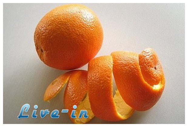 7 Ï„ÏÏŒÏ€Î¿Î¹ Î½Î± Î±Î¾Î¹Î¿Ï€Î¿Î¹Î®ÏƒÎµÏ„Îµ Ï„Î¹Ï‚ Ï†Î»Î¿ÏÎ´ÎµÏ‚ Ï†ÏÎ¿ÏÏ„Ï‰Î½ ÎºÎ±Î¹ Î»Î±Ï‡Î±Î½Î¹ÎºÏŽÎ½live-in | Η Έξυπνη, Αντικειμενική και Εναλλακτική Ενημέρωση!