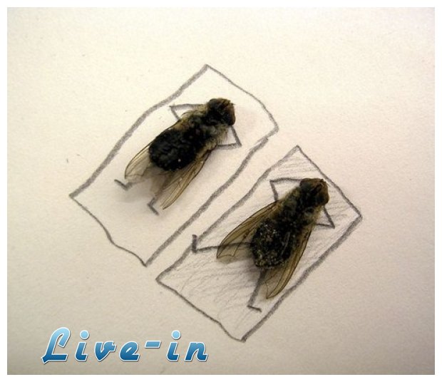 Î”Î¹ÏŽÎ¾Ï„Îµ Ï„Î¹Ï‚ Î¼Î±ÏÏÎµÏ‚ Î¼ÏÎ³ÎµÏ‚live-in | Η Έξυπνη, Αντικειμενική και Εναλλακτική Ενημέρωση!