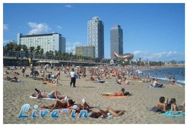 10 Ï€ÏÎ¬Î³Î¼Î±Ï„Î± Ï€Î¿Ï… Î´Îµ Î³Î½Ï‰ÏÎ¯Î¶Î±Ï„Îµ Î³Î¹Î± Ï„Î± Î±Î½Ï„Î¹Î·Î»Î¹Î±ÎºÎ¬live-in | Η Έξυπνη, Αντικειμενική και Εναλλακτική Ενημέρωση!