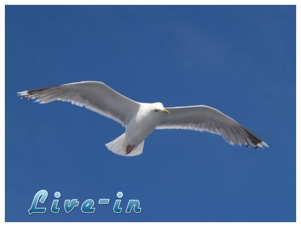 ÎŸ Î“Î»Î¬ÏÎ¿Ï‚ Î™Ï‰Î½Î¬Î¸Î±Î½ Î›Î¯Î²Î¹Î½Î³ÎºÏƒÏ„Î¿Î½live-in | Η Έξυπνη, Αντικειμενική και Εναλλακτική Ενημέρωση!