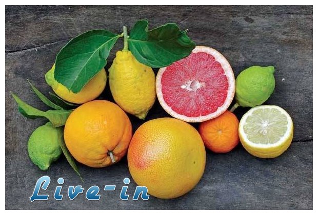 ÎŸÎ¹ 7 Ï„ÏÎ¿Ï†Î­Ï‚ Ï€Î¿Ï… ÎºÎ±Ï„Î±ÏÎ³Î¿ÏÎ½ Ï„Î¹Ï‚ Î±Î½Ï„Î¹Î³Î·ÏÎ±Î½Ï„Î¹ÎºÎ­Ï‚ ÎºÏÎ­Î¼ÎµÏ‚live-in | Η Έξυπνη, Αντικειμενική και Εναλλακτική Ενημέρωση!