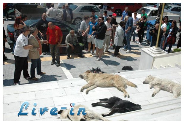 Î•Î¹ÎºÏŒÎ½ÎµÏ‚ Ï†ÏÎ¯ÎºÎ·Ï‚ ÏƒÏ„Î¿ ÎºÎ­Î½Ï„ÏÎ¿ Ï„Î·Ï‚ Î’Î­ÏÎ¿Î¹Î±Ï‚!live-in | Η Έξυπνη, Αντικειμενική και Εναλλακτική Ενημέρωση!