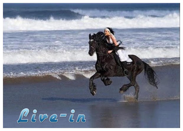 20 Î³Î½Ï‰ÏÎ¯ÏƒÎ¼Î±Ï„Î± Ï„Ï‰Î½ Î±Î½Î¸ÏÏŽÏ€Ï‰Î½ Ï€Î¿Ï… Î­Ï‡Î¿Ï…Î½ Î±Ï€Î¿Ï†Î±ÏƒÎ¯ÏƒÎµÎ¹ Î½Î± ÎµÎ¯Î½Î±Î¹...ÎµÏ…Ï„Ï…Ï‡Î¹ÏƒÎ¼Î­Î½Î¿Î¹!live-in | Η Έξυπνη, Αντικειμενική και Εναλλακτική Ενημέρωση!