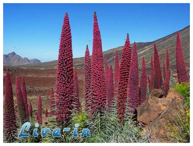 ÎŸÎ¹ ÏƒÏ€Î¬Î½Î¹Î¿Î¹ Â«Î ÏÏÎ³Î¿Î¹ Ï„Ï‰Î½ ÎšÎ¿ÏƒÎ¼Î·Î¼Î¬Ï„Ï‰Î½Â»!live-in | Η Έξυπνη, Αντικειμενική και Εναλλακτική Ενημέρωση!