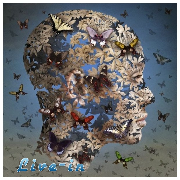 Î¤Î± Ï†Ï„ÎµÏÎ¬ ÎµÎ¯Î½Î±Î¹ Î³Î¹Î± Î½Î± Ï€ÎµÏ„Î¬Ï‚!live-in | Η Έξυπνη, Αντικειμενική και Εναλλακτική Ενημέρωση!