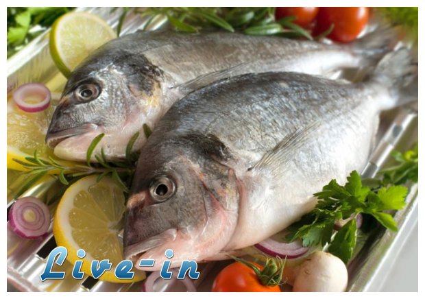 Î¤Î± ÏˆÎ¬ÏÎ¹Î± ÎºÎ±Î¹ Ï„Î± Î¸Î±Î»Î±ÏƒÏƒÎ¹Î½Î¬ Ï€Î¿Ï… Ï€ÏÎ­Ï€ÎµÎ¹ (ÎºÎ±Î¹ Î´ÎµÎ½ Ï€ÏÎ­Ï€ÎµÎ¹) Î½Î± Ï„ÏÏŽÎ¼Îµ!live-in | Η Έξυπνη, Αντικειμενική και Εναλλακτική Ενημέρωση!