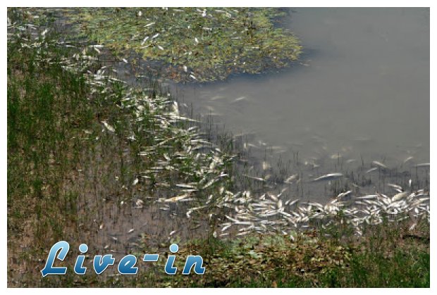 Î“Î­Î¼Î¹ÏƒÎµ Î½ÎµÎºÏÎ¬ ÏˆÎ¬ÏÎ¹Î± Î¿ Î Î·Î½ÎµÎ¹ÏŒÏ‚!live-in | Η Έξυπνη, Αντικειμενική και Εναλλακτική Ενημέρωση!