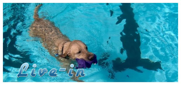 Î£Ï…Î¼Î²Î¿Ï…Î»Î­Ï‚ Î³Î¹Î± Ï„Î¿ ÎºÎ±Ï„Î¿Î¹ÎºÎ¯Î´Î¹ÏŒ ÏƒÎ±Ï‚ Ï„Î¿ ÎºÎ±Î»Î¿ÎºÎ±Î¯ÏÎ¹!live-in | Η Έξυπνη, Αντικειμενική και Εναλλακτική Ενημέρωση!