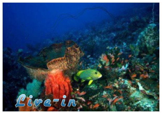 Î— Ï…Ï€ÎµÏÎ¹ÏŽÎ´Î·Ï‚ Î±ÎºÏ„Î¹Î½Î¿Î²Î¿Î»Î¯Î± ÏƒÎºÎ¿Ï„ÏŽÎ½ÎµÎ¹ Ï„Î· Î¸Î±Î»Î¬ÏƒÏƒÎ¹Î± Î¶Ï‰Î®live-in | Η Έξυπνη, Αντικειμενική και Εναλλακτική Ενημέρωση!